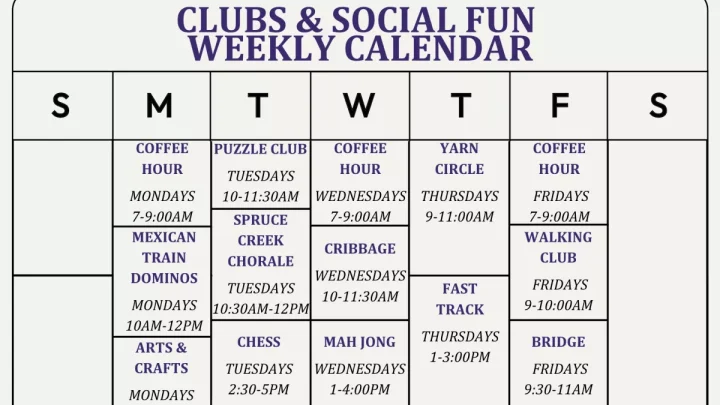 The Social Impact of Bingo Clubs on Mental Wellness and Community Building